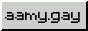 aamy.gay